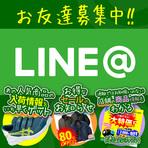 LINE@銇仒銈併伨銇椼仧